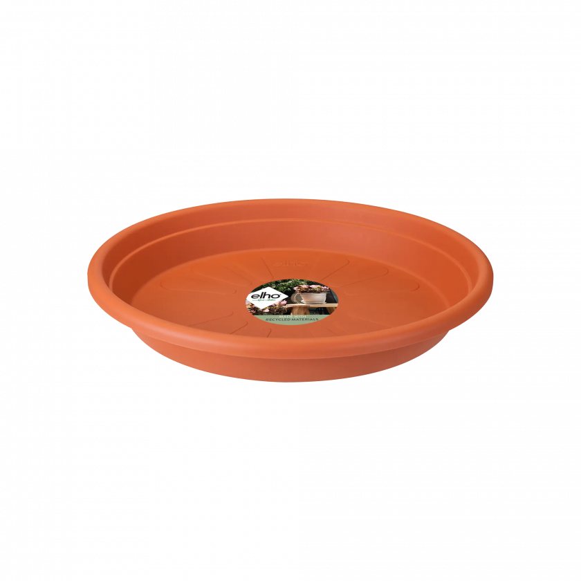 Universal Saucer Round 48Cm (Terra)