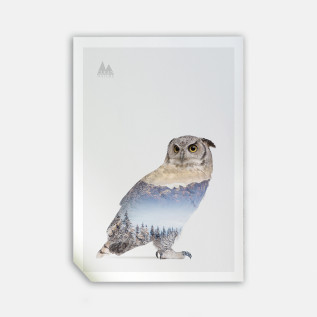 Snow owl i 50cmx70cm wall art