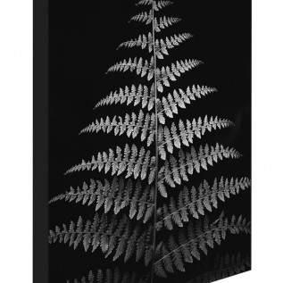 Dark fern 21cmx30cm art block