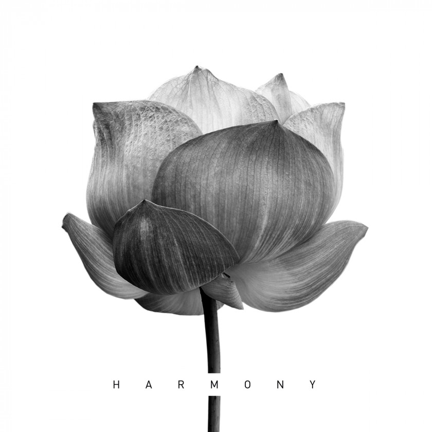 Harmony Lotus, 21cmx21cm art block