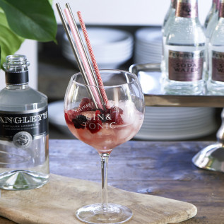 Finest selection gin tonic glass