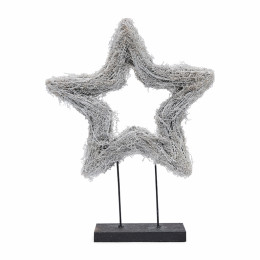 Lovely christmas star on stand