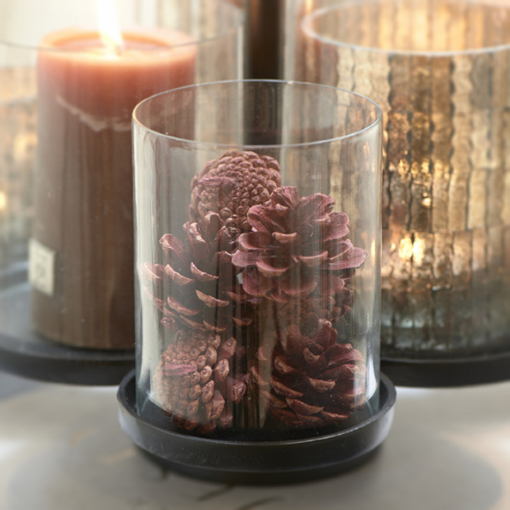 Celebrate autumn pinecones
