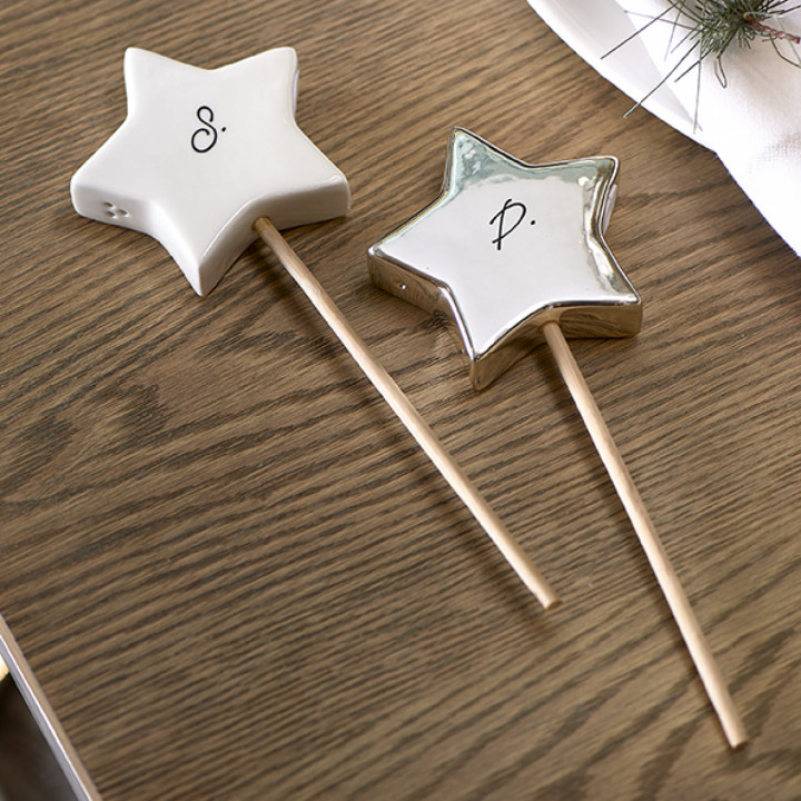 Pretty star salt pepper set