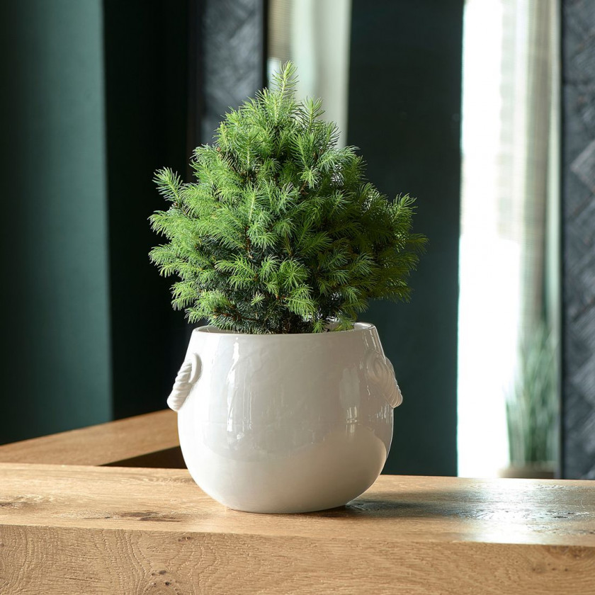 RM Yorkville Planter off-white S