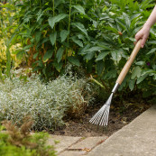 Stainless steel border hand shrub rake