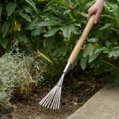 Stainless steel border hand shrub rake