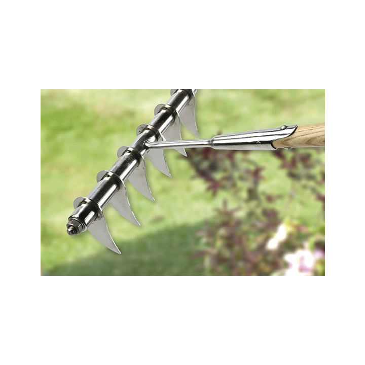 Rhs lawn scarifying rake