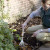 Rhs stainless mid handled shrub rake