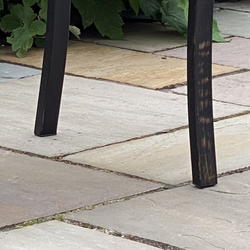 Daffodil Bench