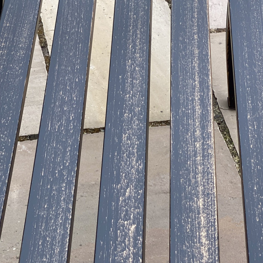 Daffodil Bench