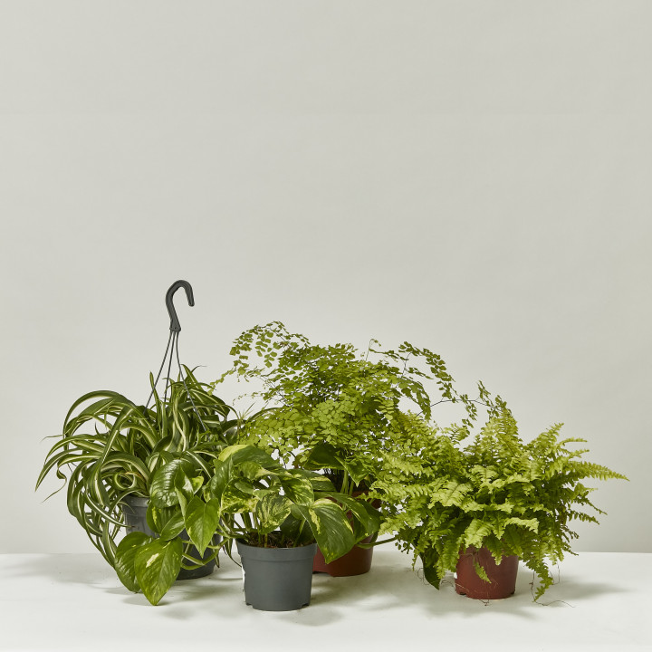 Bathroom set