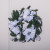 Poinsettia wreath white