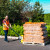 Hardwood firewood bags 1 65m 512kg 64x30l 8kg bags pallet delivery