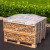 Hardwood firewood 1cbm 400kg kiln dried logs pallet